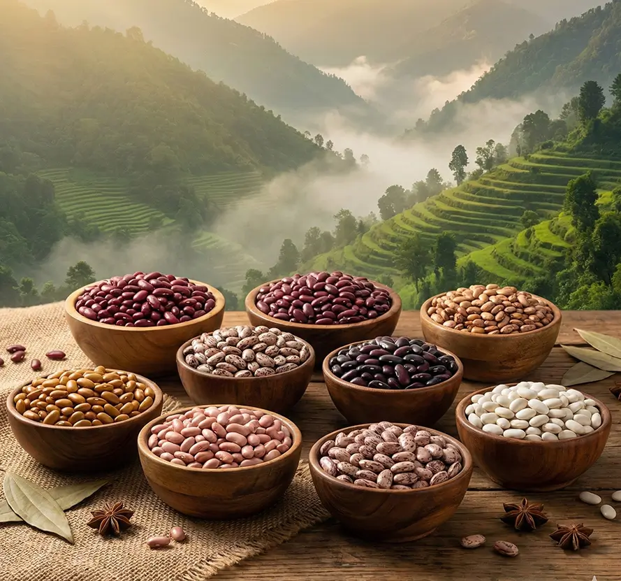 Pahadi Rajma